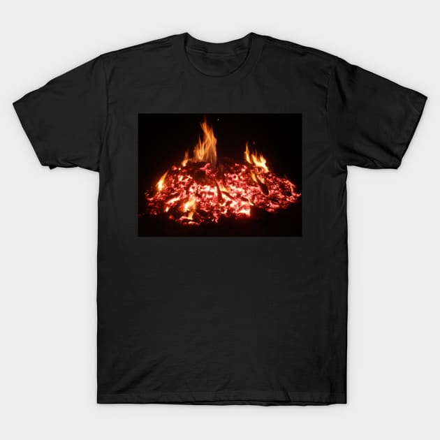 Fire T-Shirt by swilley